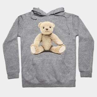 Plush Toy Teddy Bear Hoodie